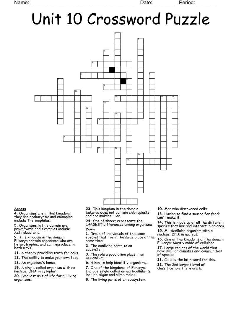 Unit 10 Crossword Puzzle WordMint