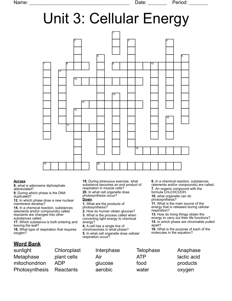 Unit 3 Cellular Energy Crossword WordMint