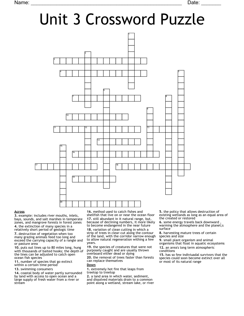 Unit 3 Crossword Puzzle WordMint