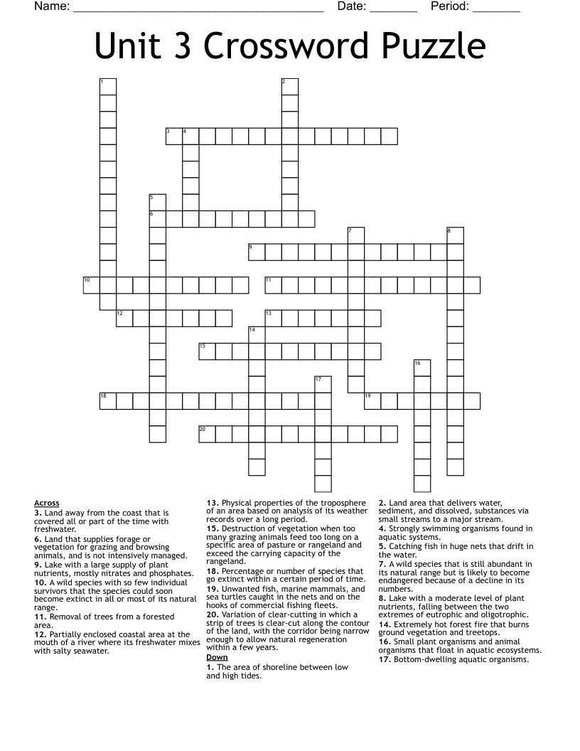 Unit 3 Crossword Puzzle WordMint