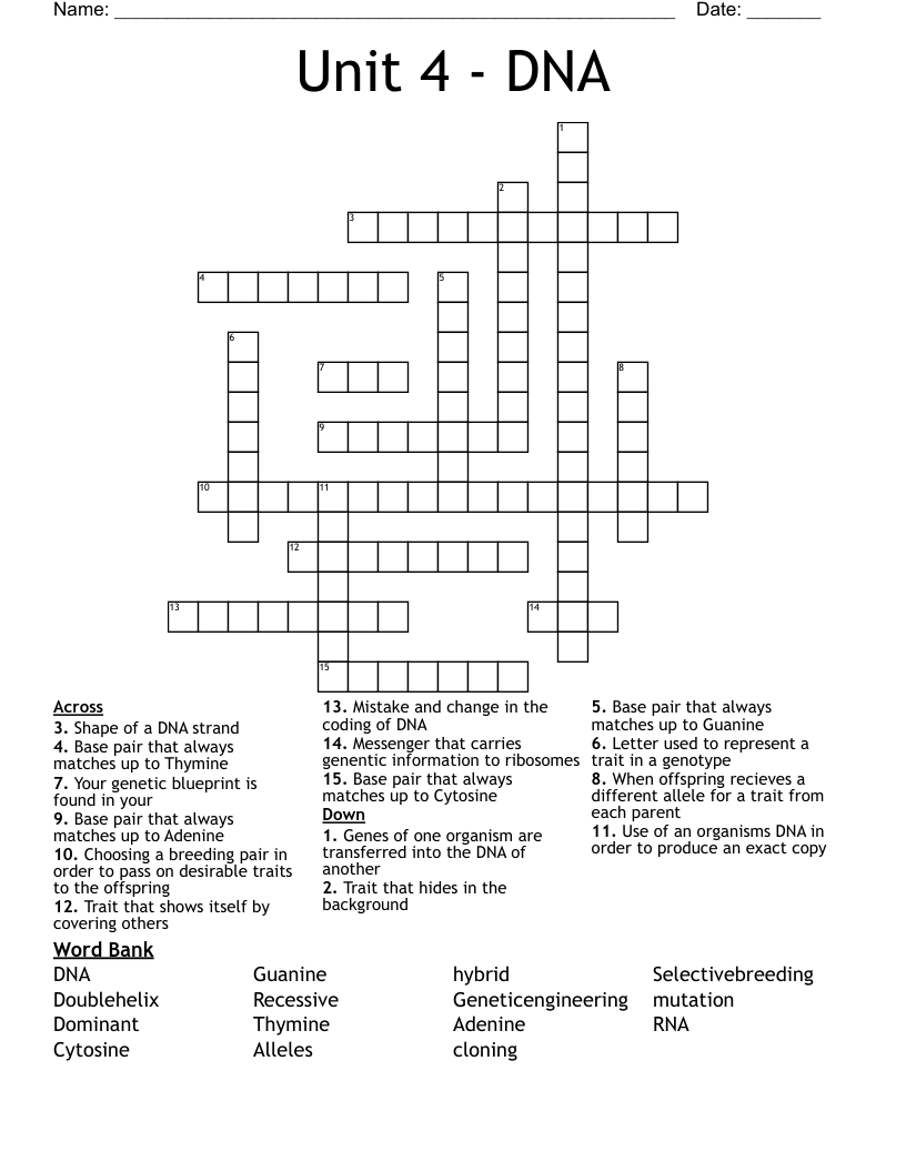 Unit 4 DNA Crossword WordMint