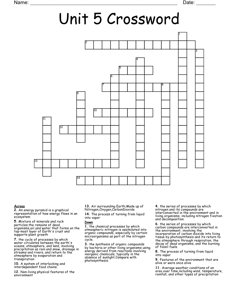 Unit 5 Crossword WordMint