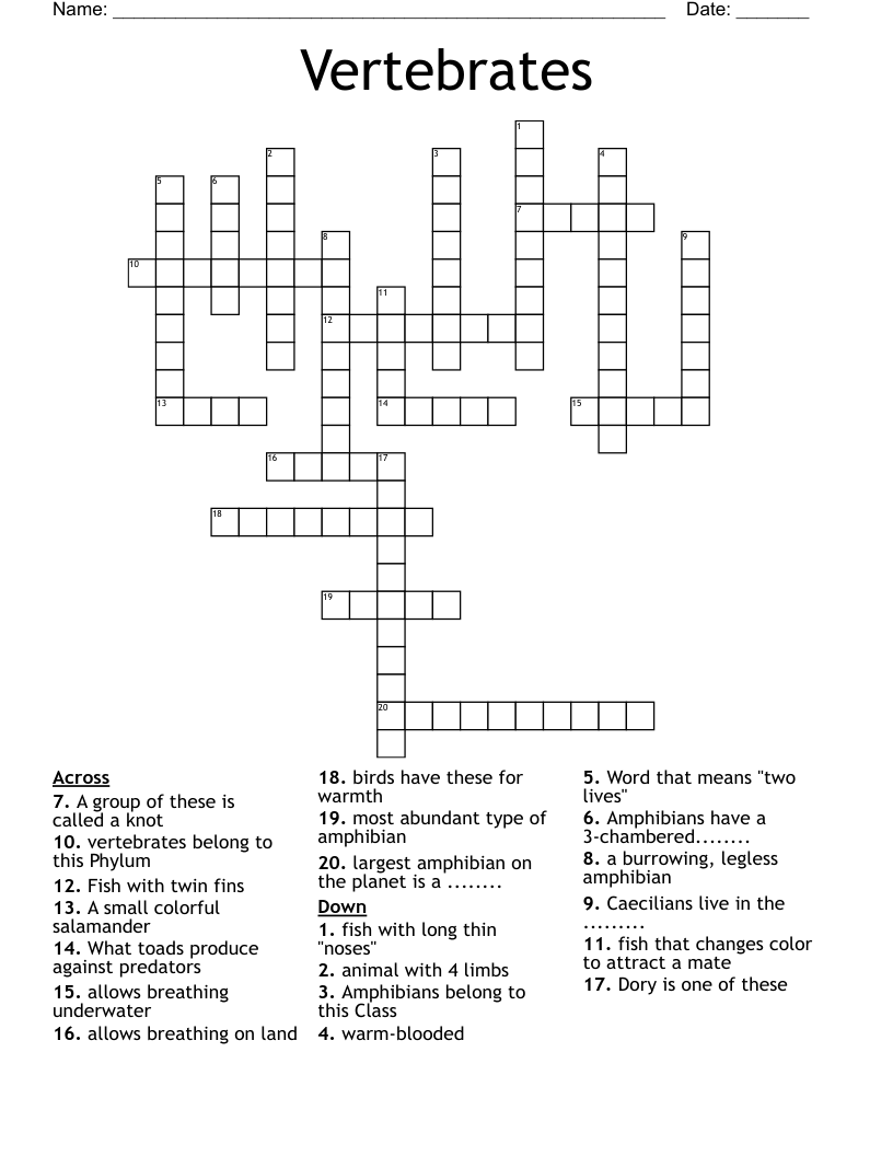 Vertebrates Crossword WordMint