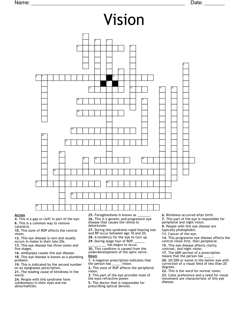Vision Crossword WordMint