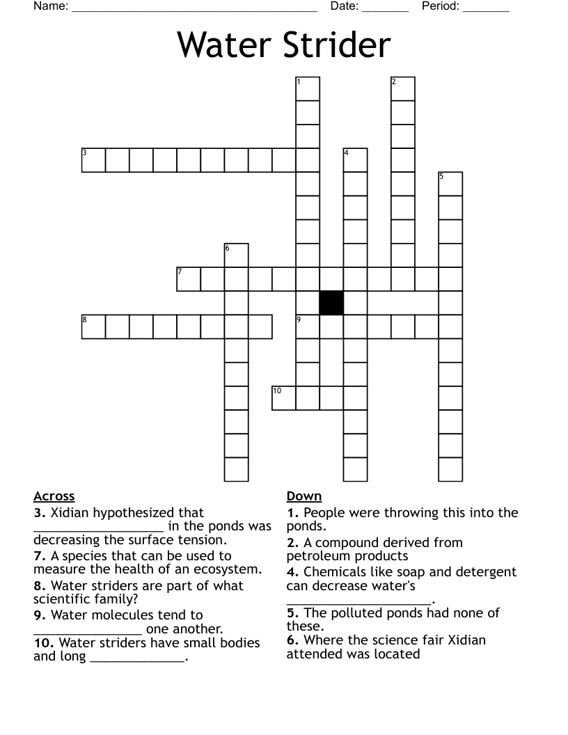 Water Strider Crossword WordMint