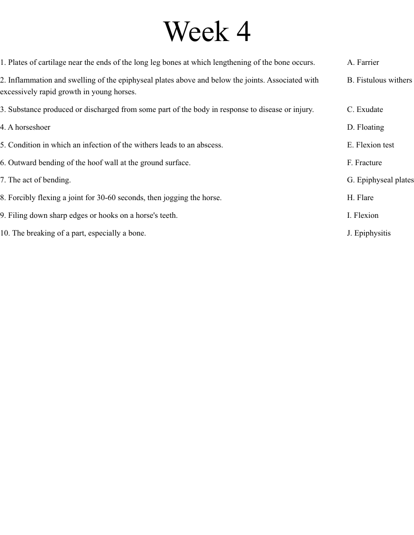 Week 4 Worksheet WordMint