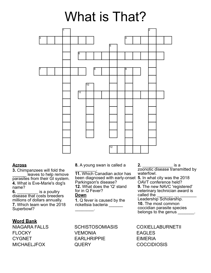 What is That? Crossword WordMint