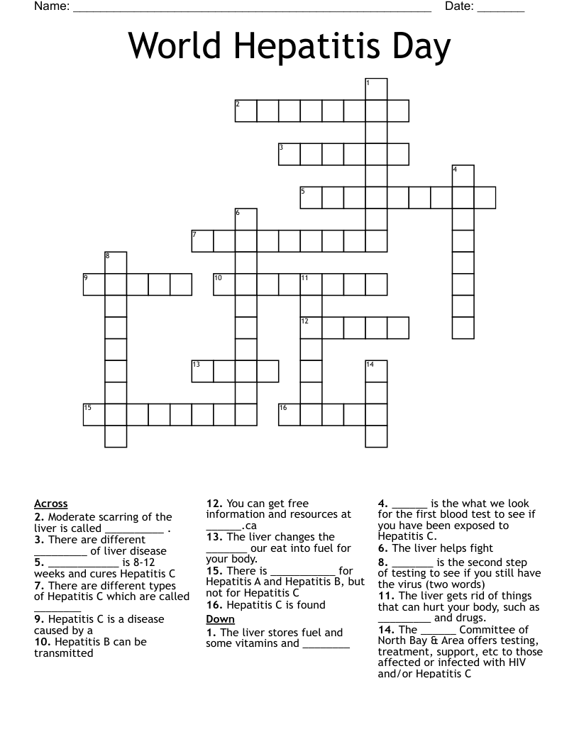 Hepatitis crossword puzzle WordMint