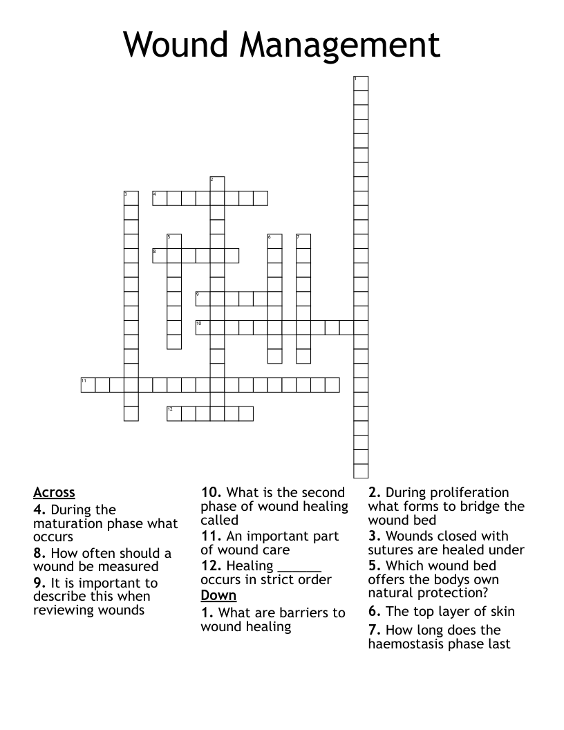 Wound Care Word Search WordMint
