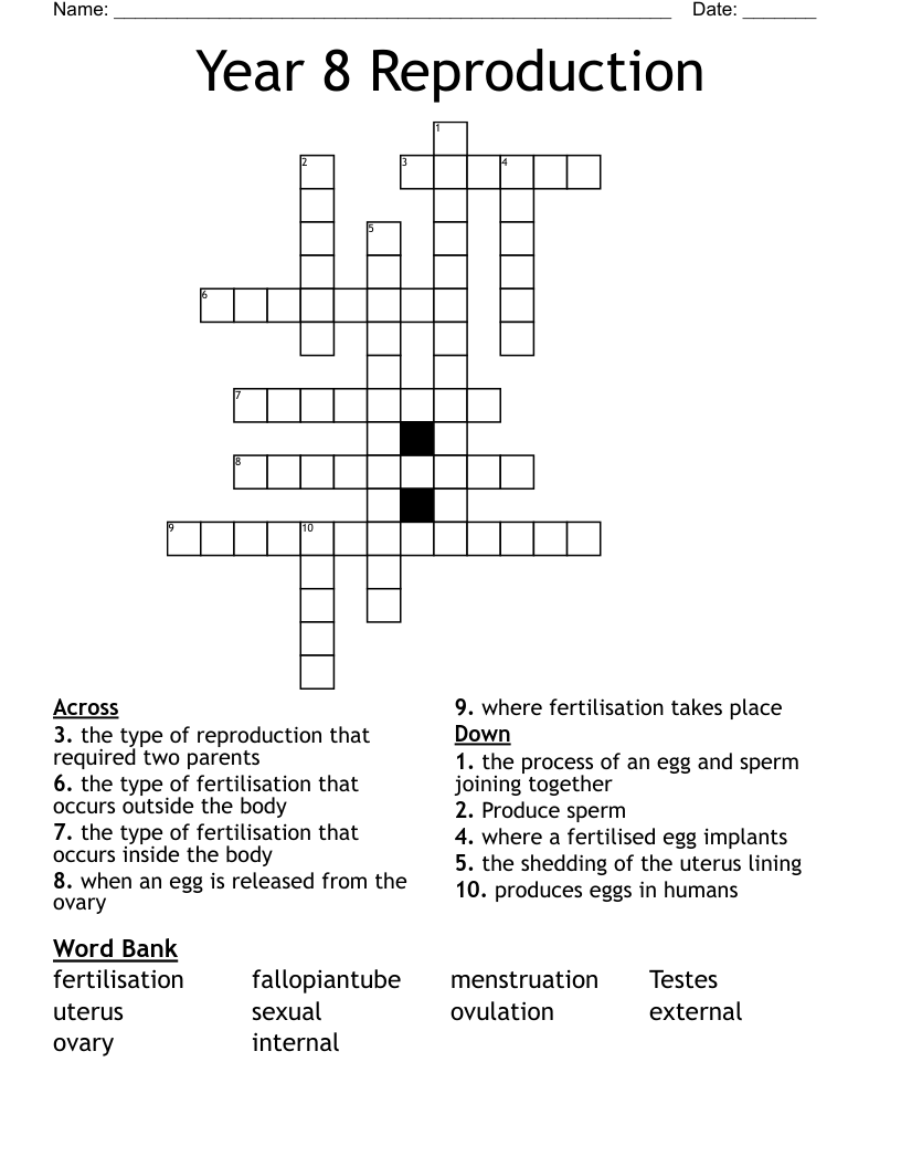 Year 8 Reproduction Crossword WordMint