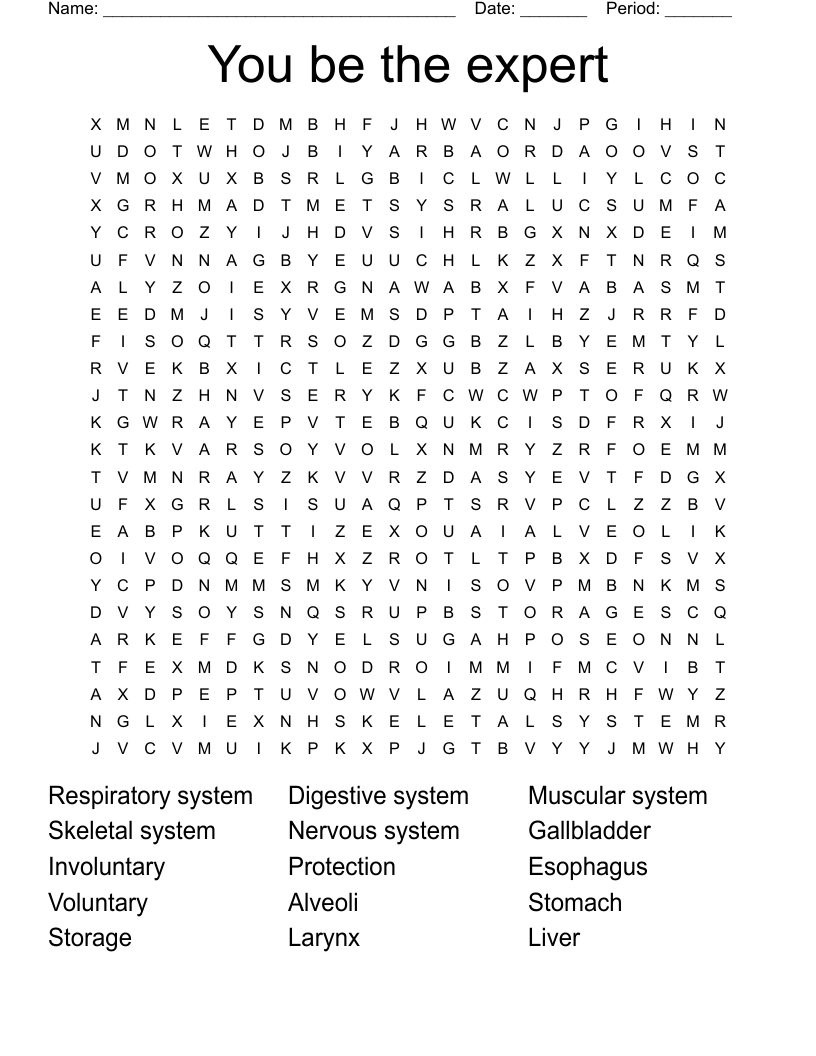 You be the expert Word Search - WordMint