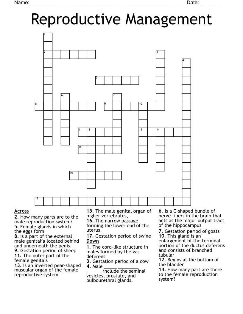 Reproductive Management Crossword WordMint