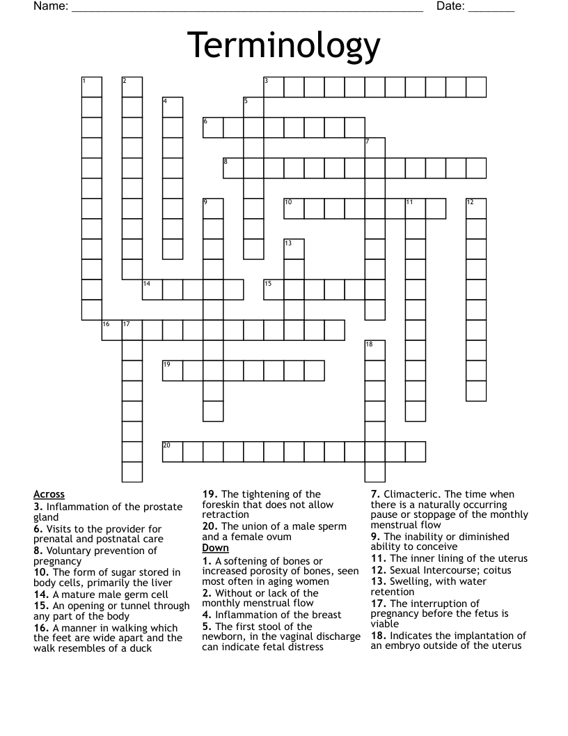 Terminology Crossword WordMint