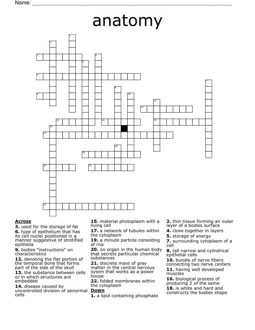 Anatomy Crossword Puzzles With Answers