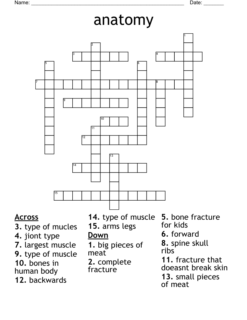 Anatomy Crossword Puzzles With Answers