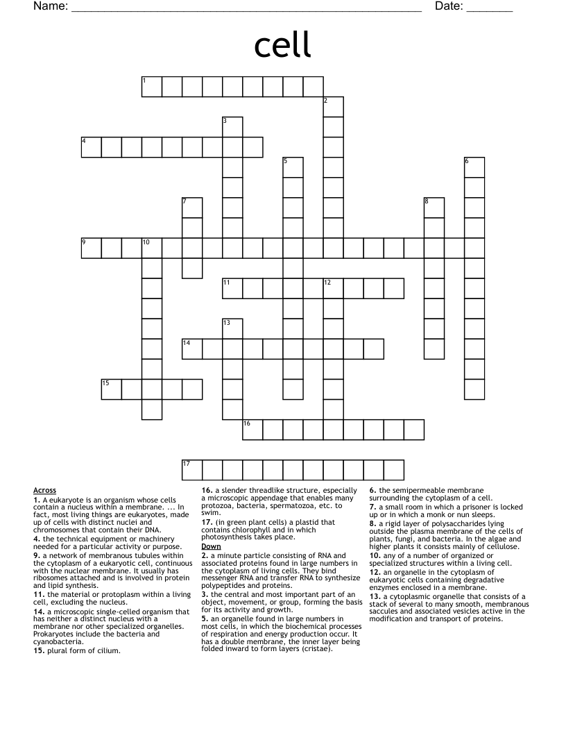 cell Crossword WordMint