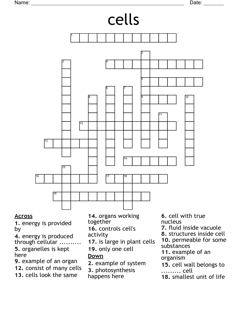 cells Crossword WordMint