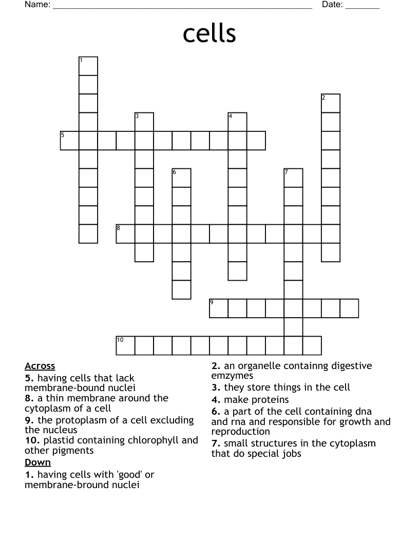 cells Crossword - WordMint