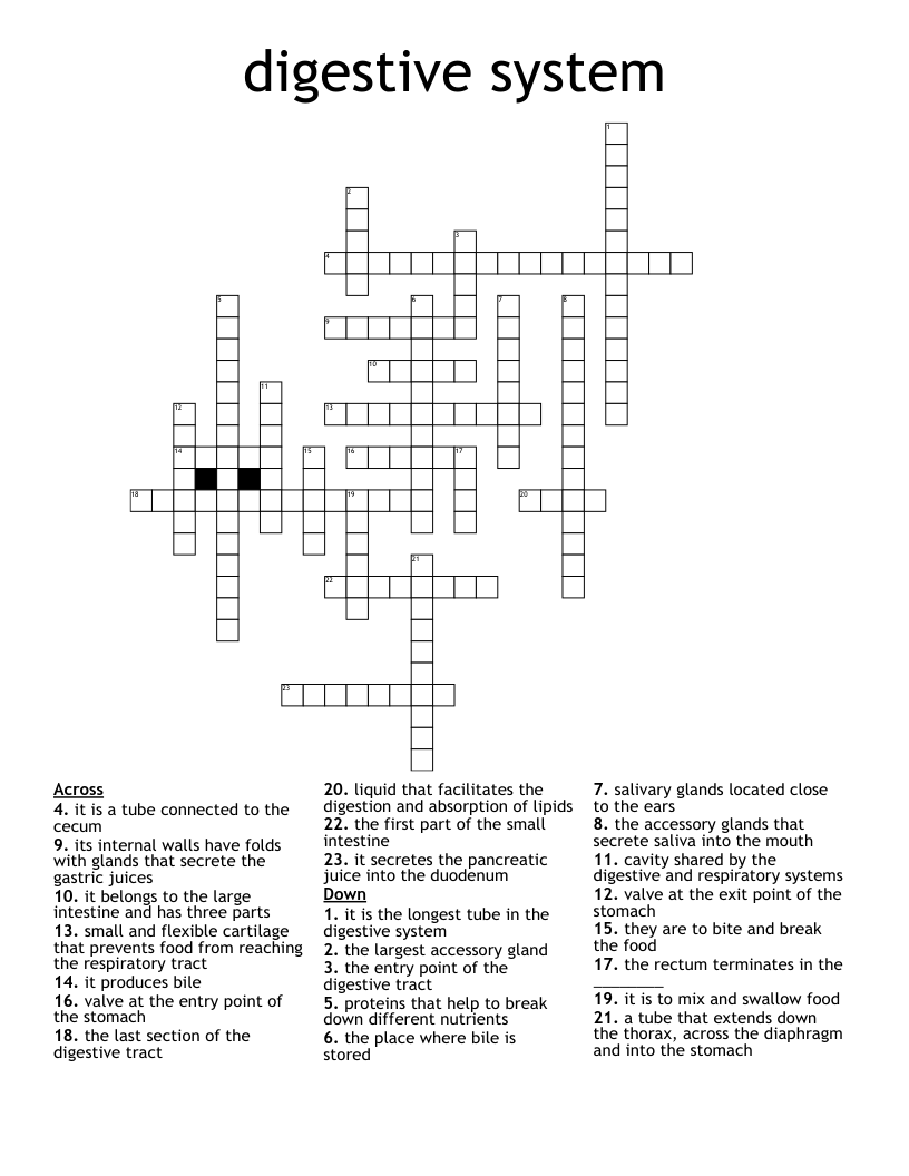 digestive system Crossword - WordMint