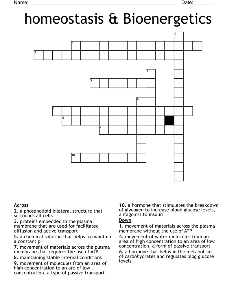 homeostasis & Bioenergetics Crossword WordMint