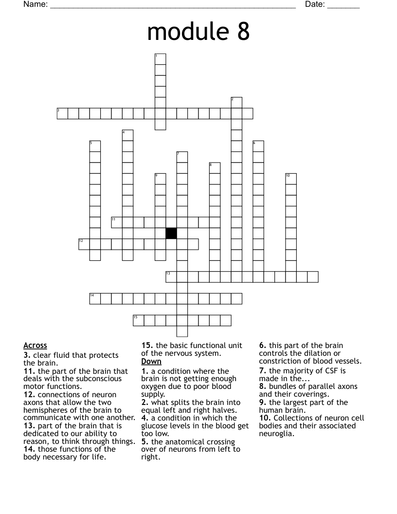 module 8 Crossword WordMint