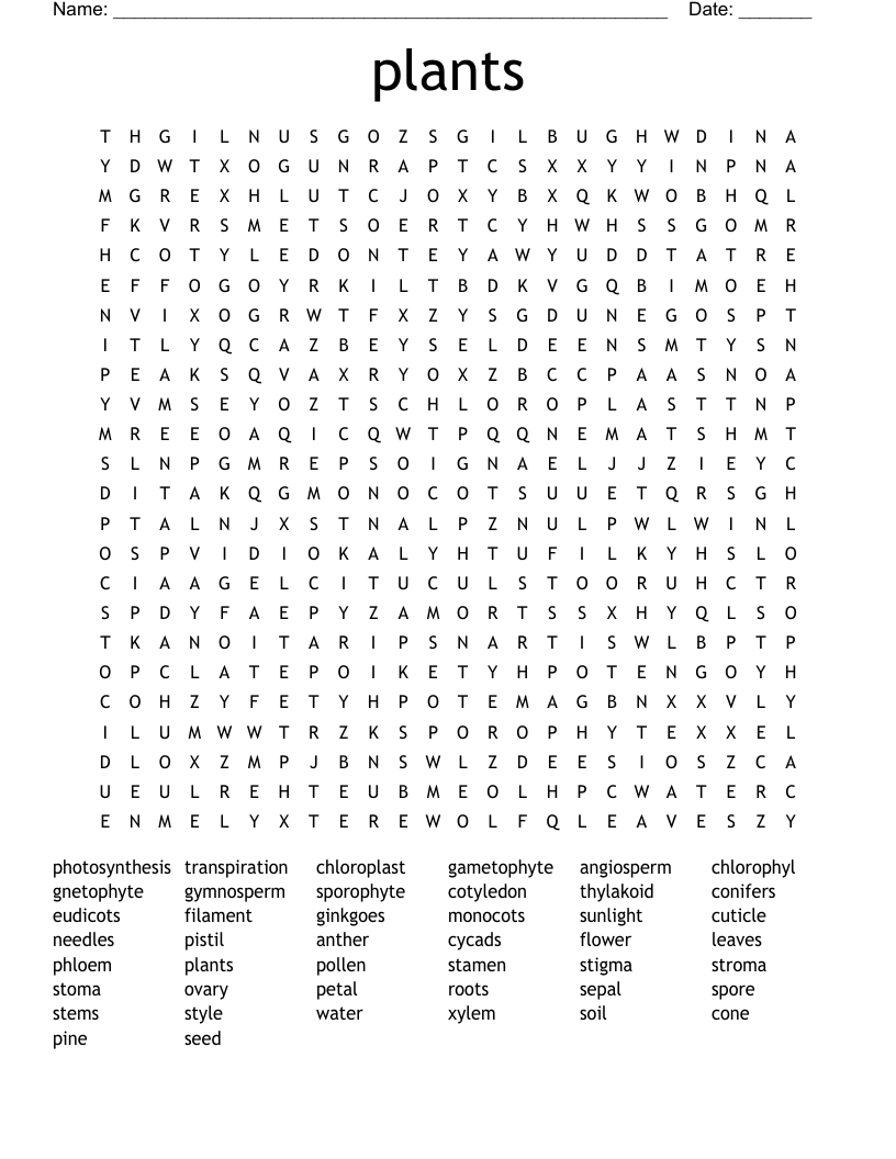 Similar to types of plants Word Search WordMint
