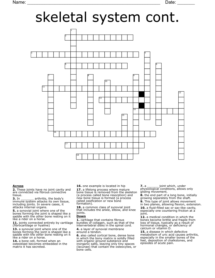 skeletal system cont. Crossword WordMint