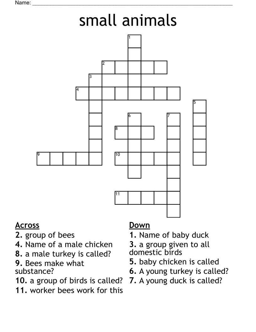 small animals Crossword WordMint