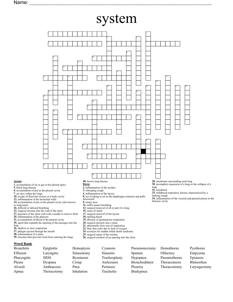 system Crossword WordMint
