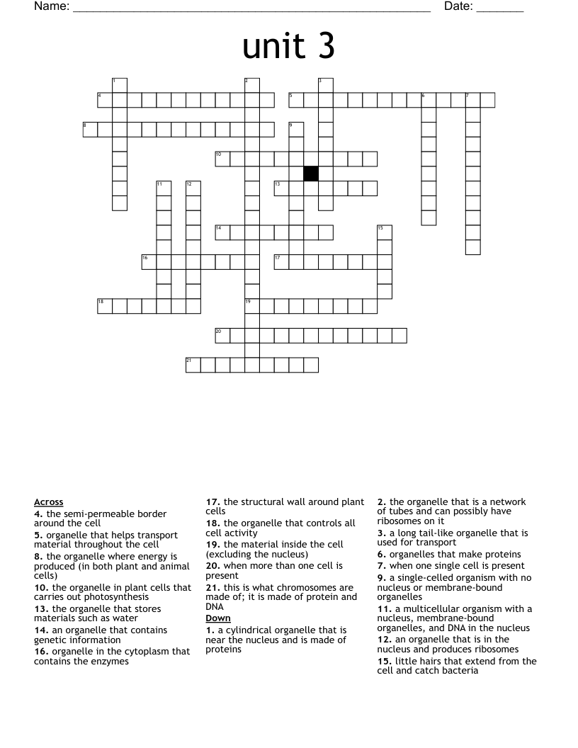 unit 3 Crossword - WordMint