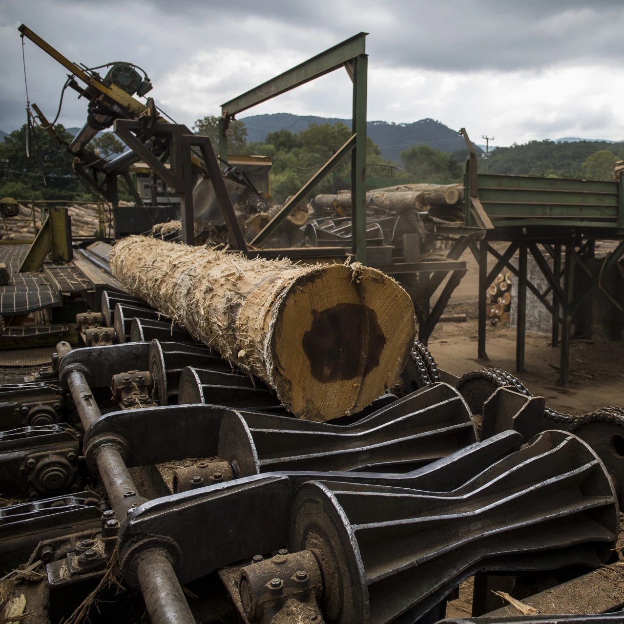 ‘It’s a Crisis’; Lumber Mills Slash Jobs as Trade War Cuts Deep WSJ