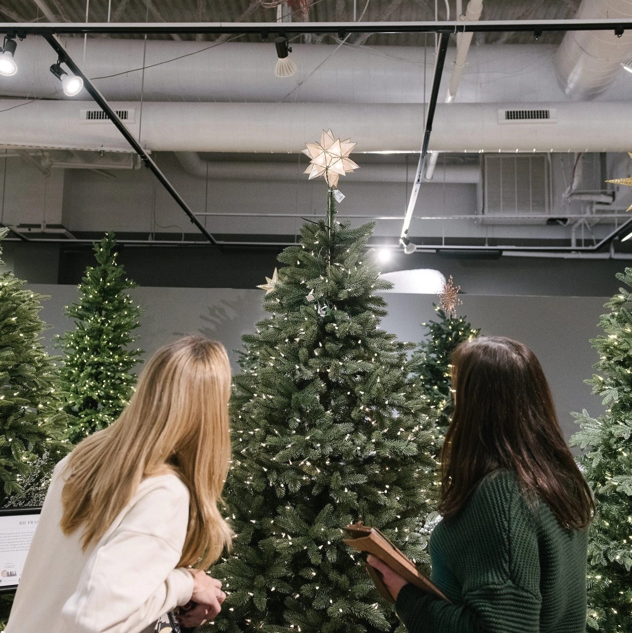 Tariff Threat Dims Holiday Cheer for Christmas Tree Company WSJ