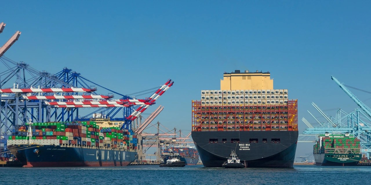 Mediterranean Shipping Co. Hit By Network Outage, Considering Potential