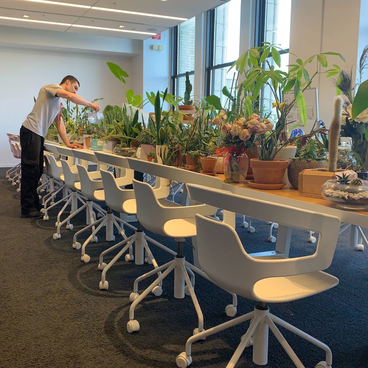 What’s of Office Plants Abandoned in the Coronavirus Shutdown WSJ