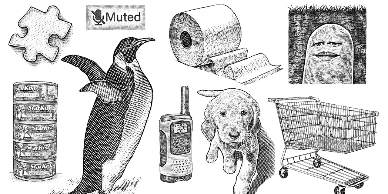 Puppies, Bread, Bad Haircuts How We Manage During Coronavirus