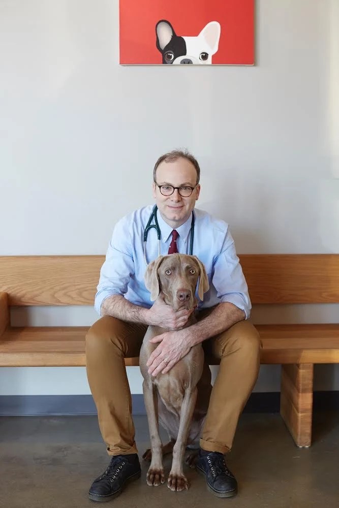 Does Your Pet Have Any Allergies? » Saint Francis Veterinary Center of