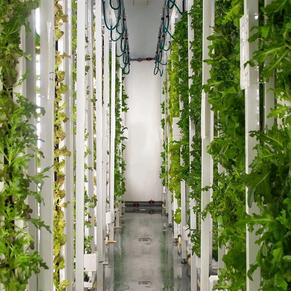 Singapore, a City of Skyscrapers and Little Land, Turns to Farming WSJ