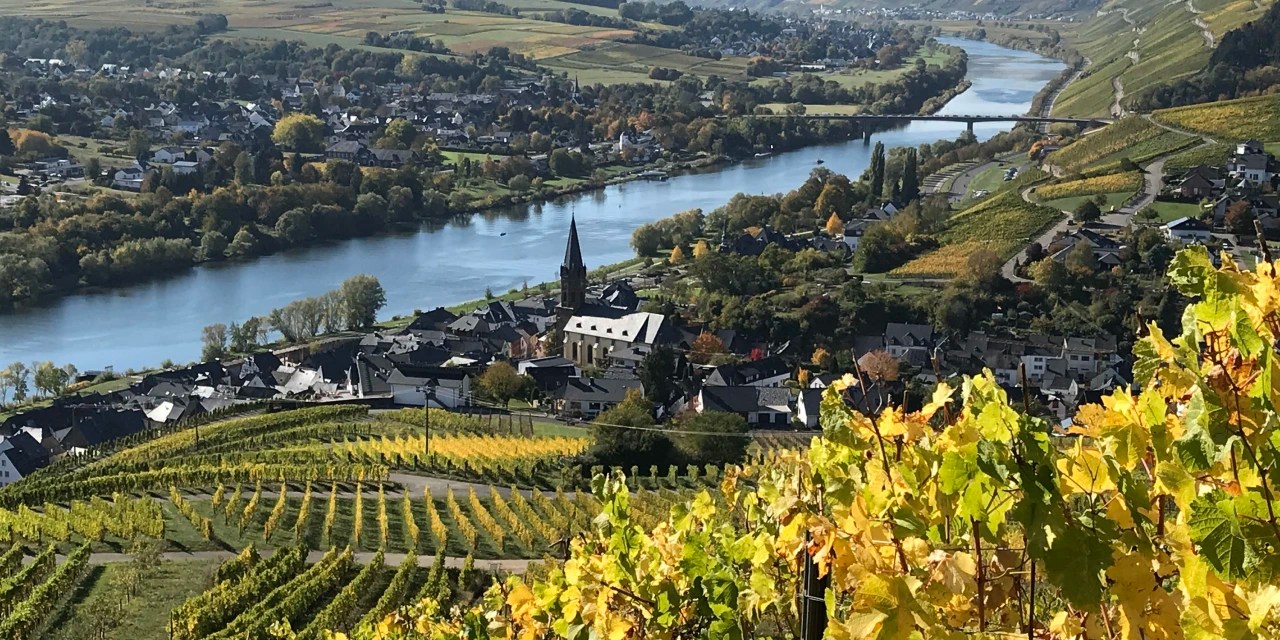 Germany’s Moselle Region Is Ripe With Deals on Vineyard Estates WSJ