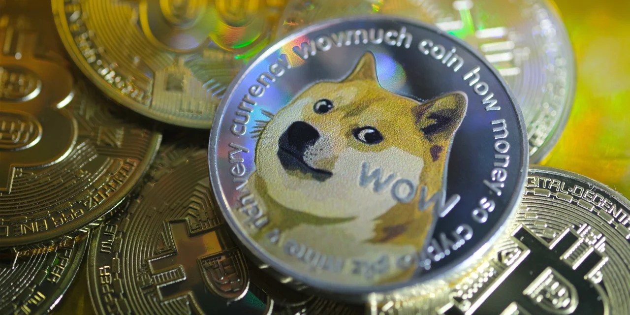 Dogecoin Price Reddit This Speaks Volumes Get Doge While The Price Is