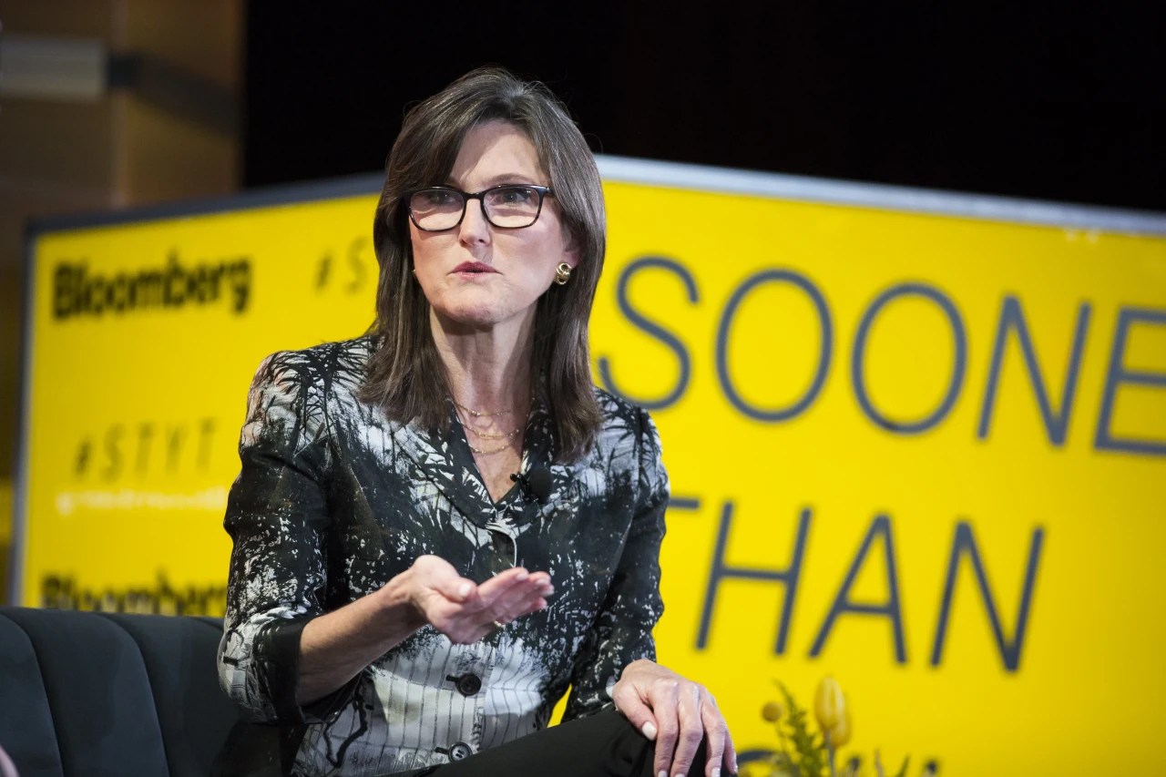 Cathie Wood’s ARK Investment Faces Reckoning as Tech Trade Stalls WSJ