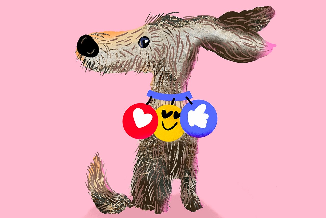 How Much Do Instagram Dogs Make