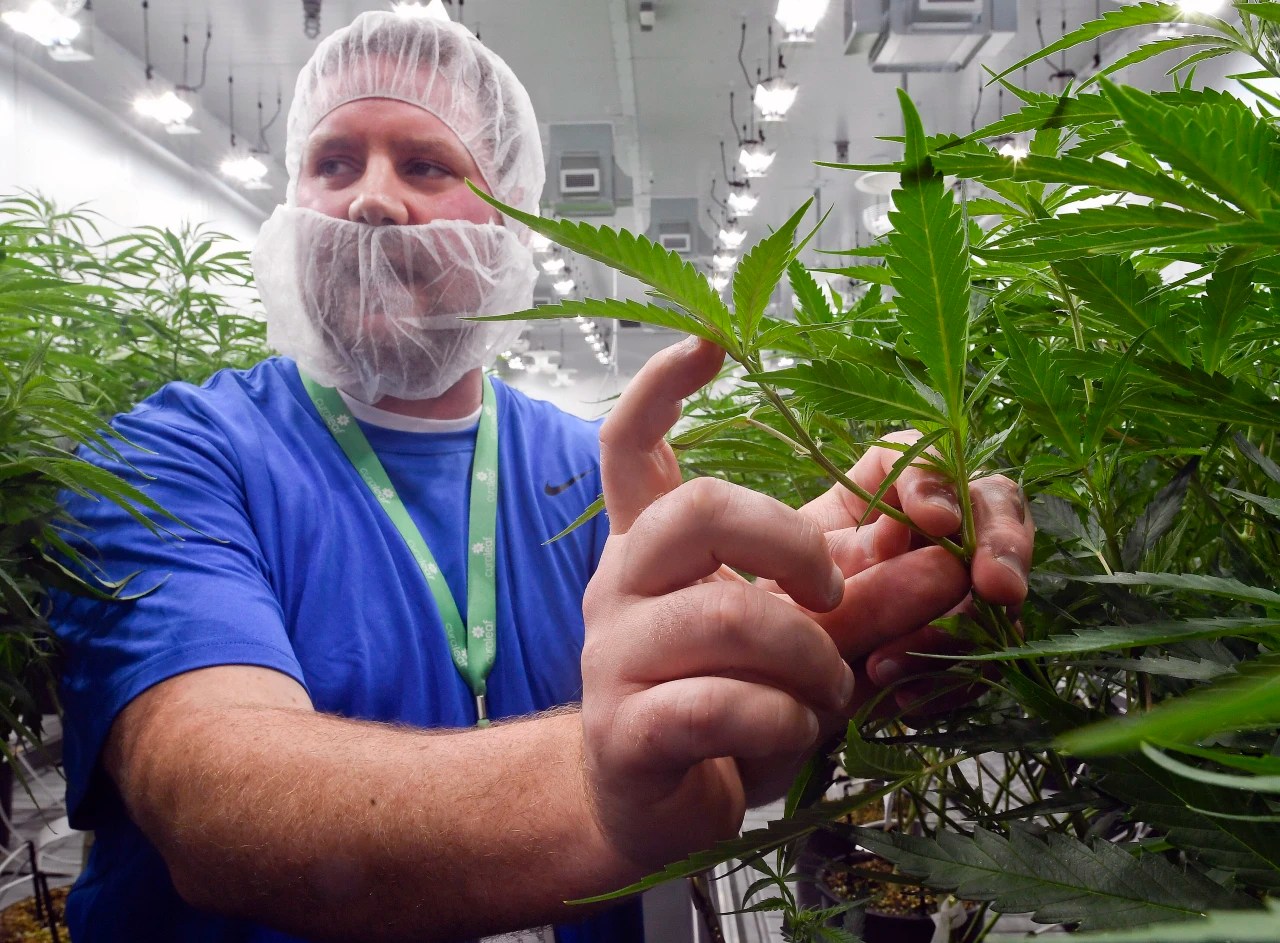 New York Marijuana Stores, Lounges Are at Least a Year Away WSJ