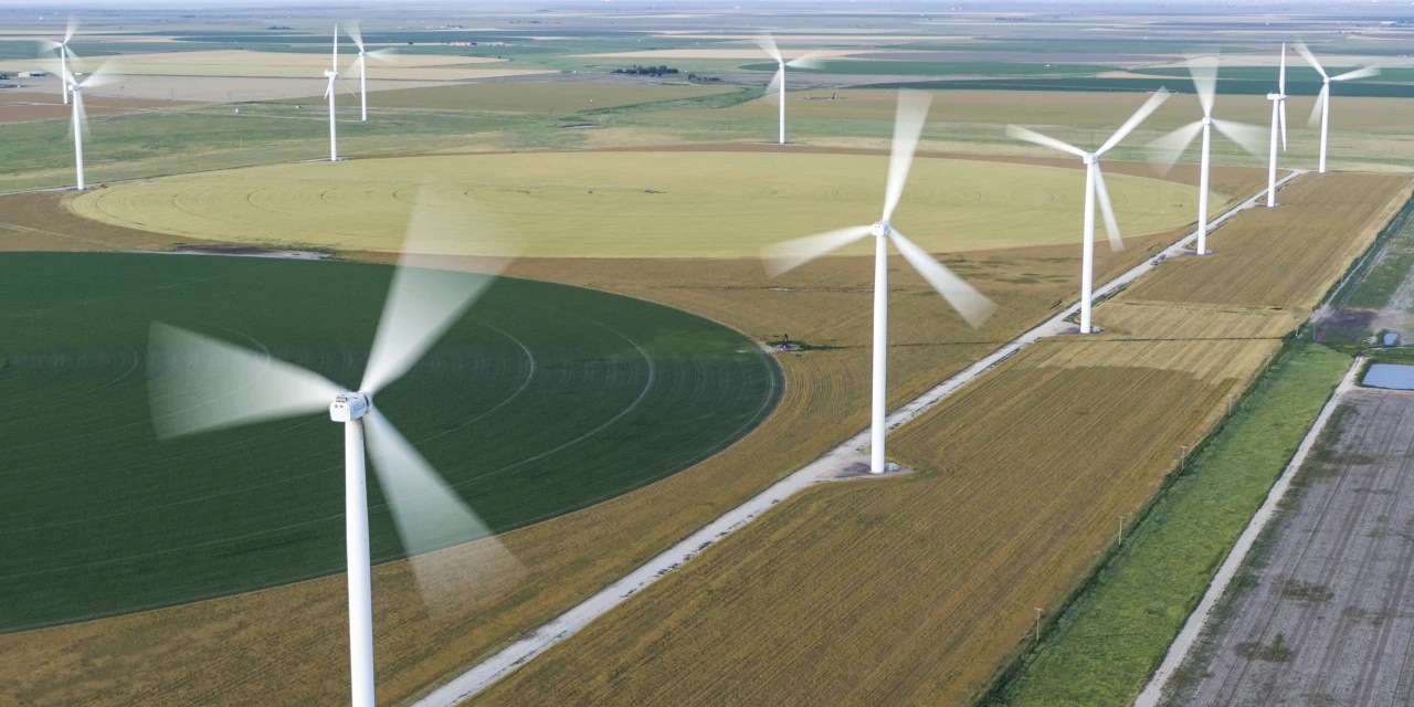 Texas Wind Farm Denied Protection From Citi Over 113 Million Storm