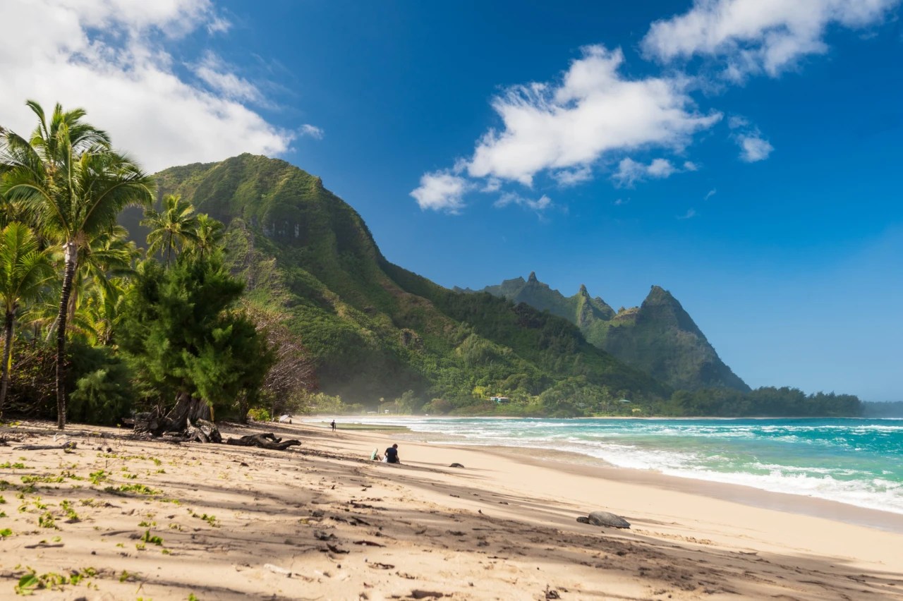 Kauai Real Estate Is So Hot Right Now, Buyers Are Snapping Up Homes