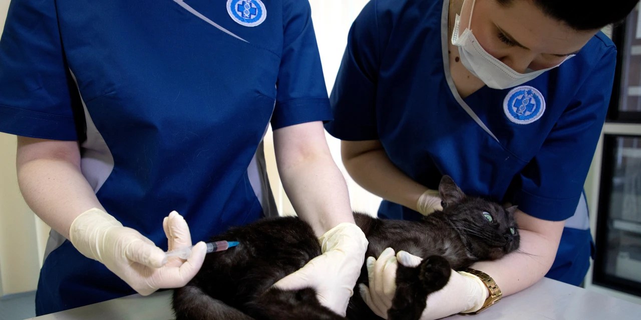 Russia Rolls Out Covid19 Vaccine for Animals WSJ