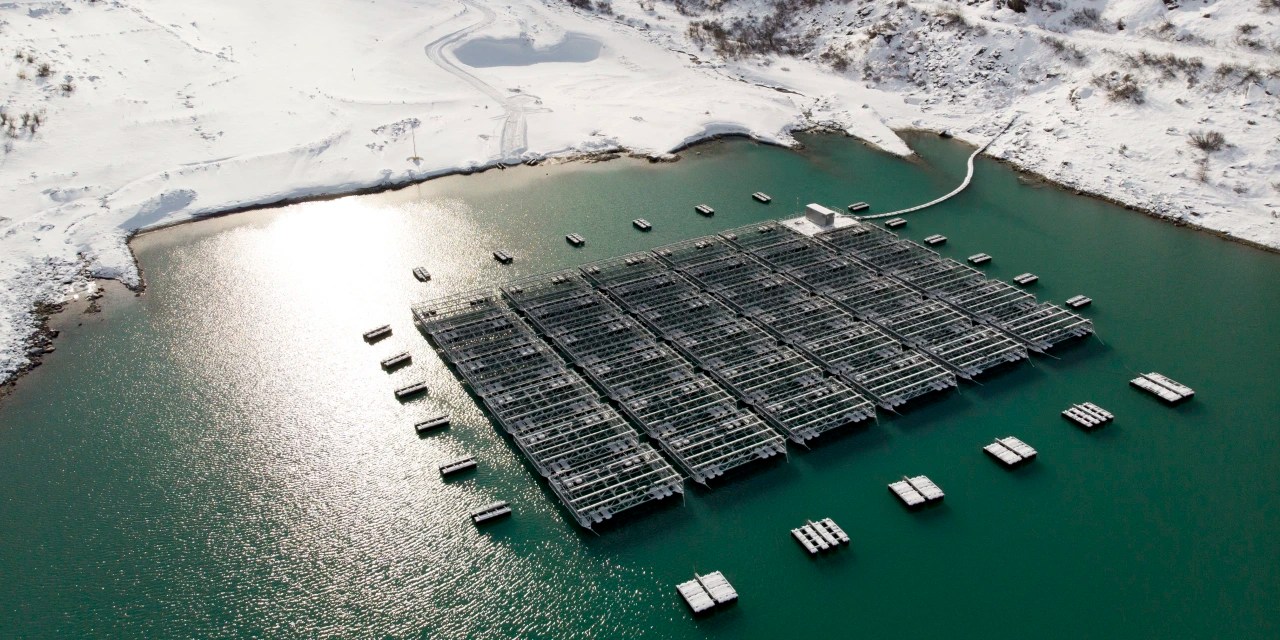 Saying No to Climate Taxes WSJ