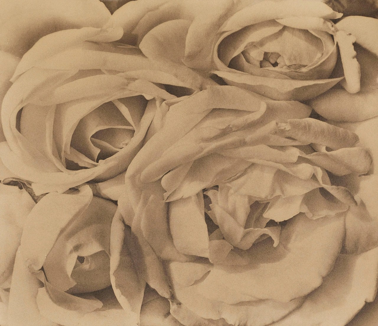 ‘Orwell’s Roses’ Review The Nature of Truth WSJ