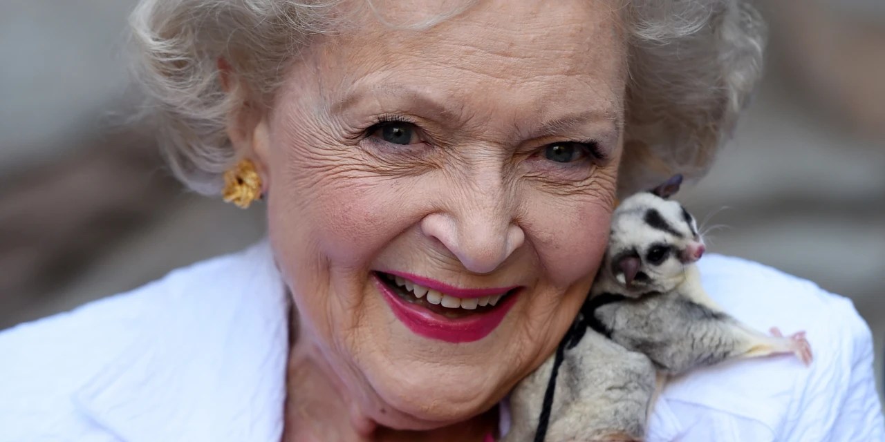 Betty White Challenge Sees AnimalRescue Groups Flooded With Donations