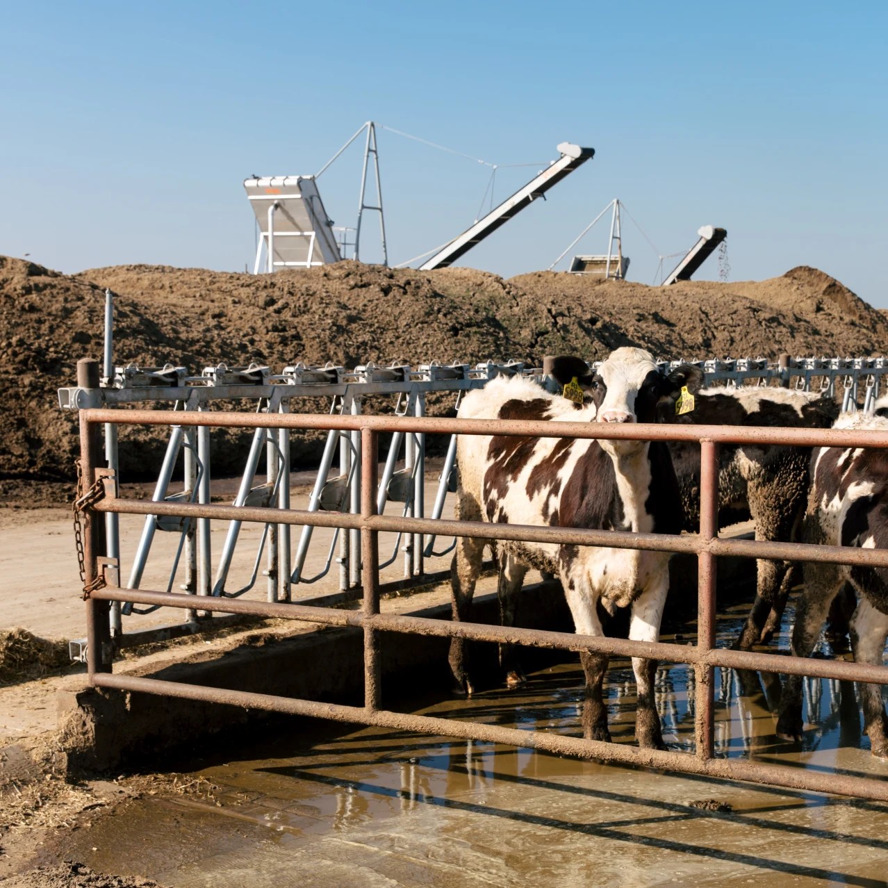 California’s GreenEnergy Subsidies Spur a Gold Rush in Cow Manure WSJ