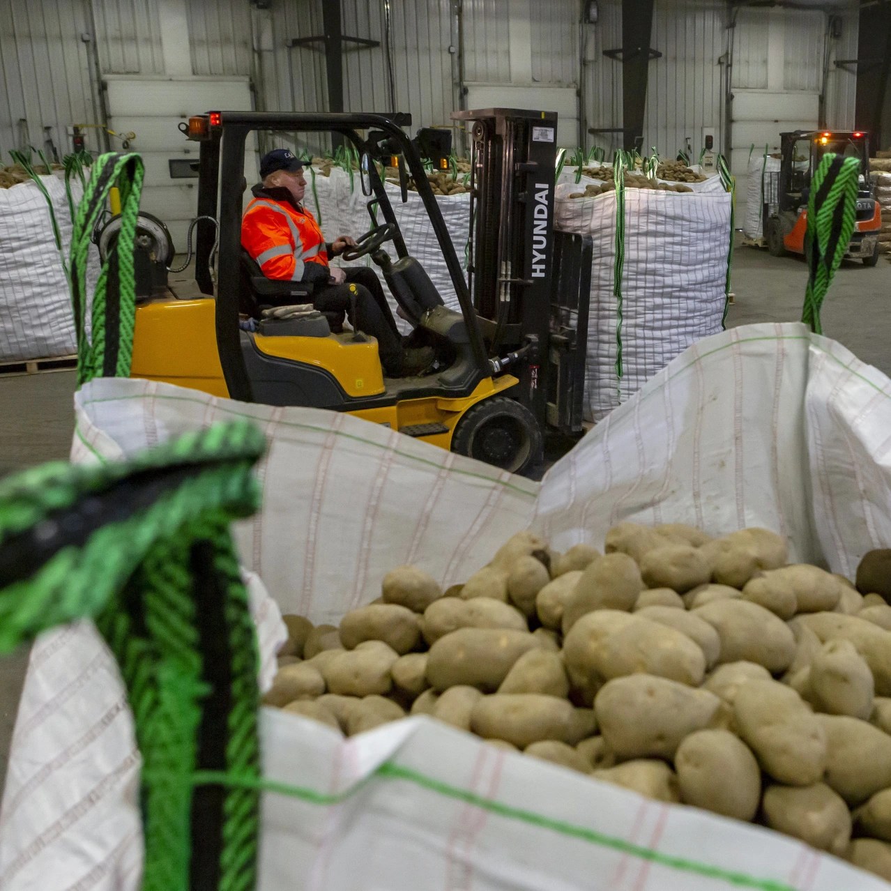 Idaho Needs Potatoes, So Maine Is Chipping In WSJ